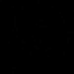 Meet your Posher, Levin